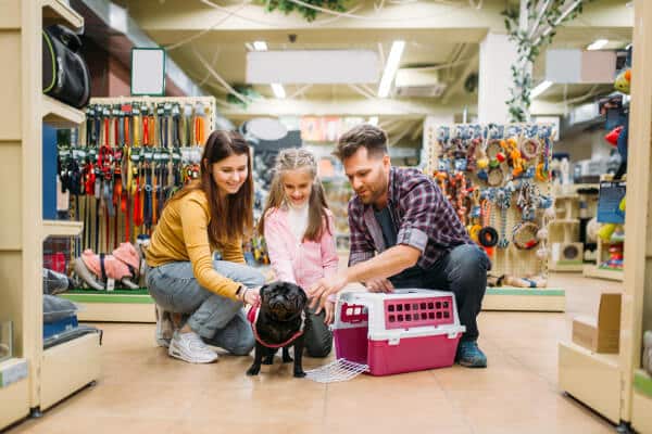 PD Contabilidade Especializada para PetShop